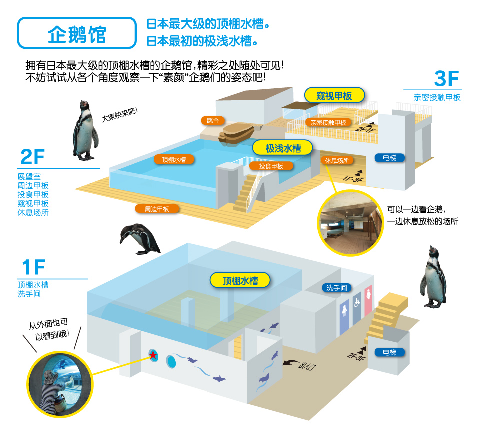 拥有日本最大级的顶棚水槽的企鹅馆，精彩之处随处可见！不妨试试从各个角度观察一下“素颜”企鹅们的姿态吧！ 日本最大级的顶棚水槽。 / 日本最初的极浅水槽。