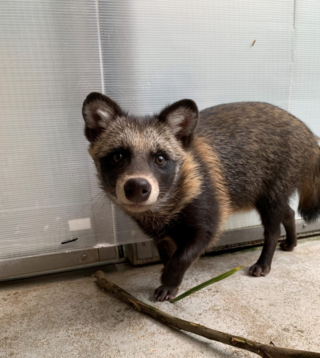 Event – 九十九島動植物園森きらら