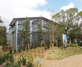 Tsushima Leopard Cats House