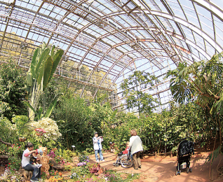 The Botanical Greenhouse